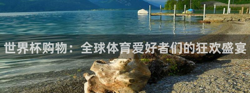 世界杯预选赛赛程表：世界杯购物：全球体育爱好者们的狂欢盛宴