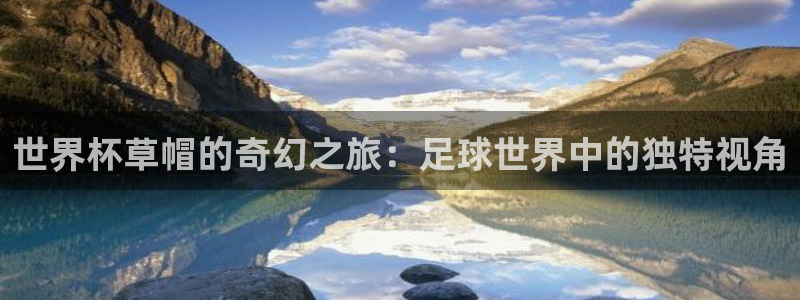 世界杯小组赛赛程：世界杯草帽的奇幻之旅：足球世界中的独特视角