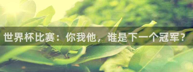 世界杯预选赛赛程时间表：世界杯比赛：你我他，谁是下一个冠军？