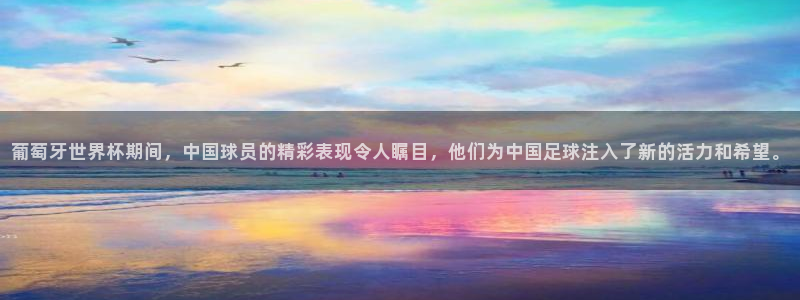 世界杯球队：葡萄牙世界杯期间，中国球员的精彩表现令人瞩目，他们为中国足球注入了新的活力和希望。