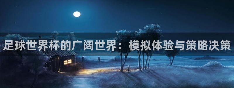 世界杯预选赛规则：足球世界杯的广阔世界：模拟体验与策略决策