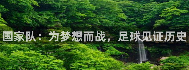 2026世界杯预选赛：国家队：为梦想而战，足球见证历史