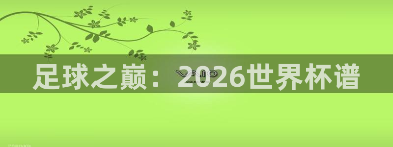 2026年世界杯对阵图：足球之巅：2026世界杯谱
