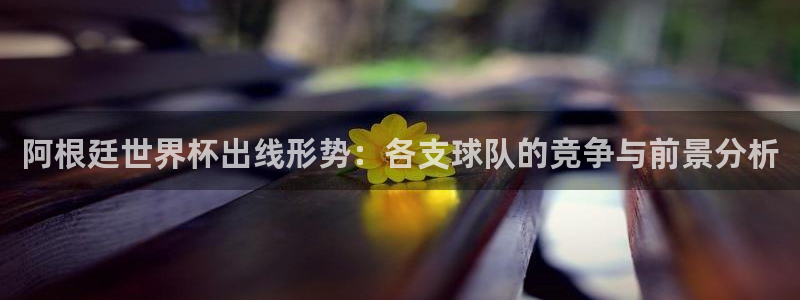 2026世界杯德国队阵容：阿根廷世界杯出线形势：各支球队的竞争与前景分析
