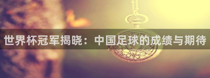 世界杯2026赛程：世界杯冠军揭晓：中国足球的成绩与期待