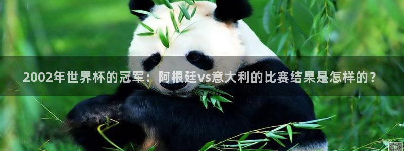 2026世界杯亚洲区预选赛：2002年世界杯的冠军：阿根廷vs意大利的比赛结果是怎样的？