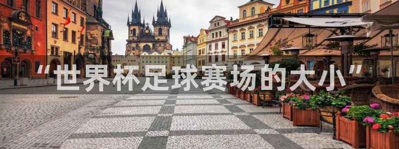 世界杯葡萄牙赛程：“世界杯足球赛场的大小”