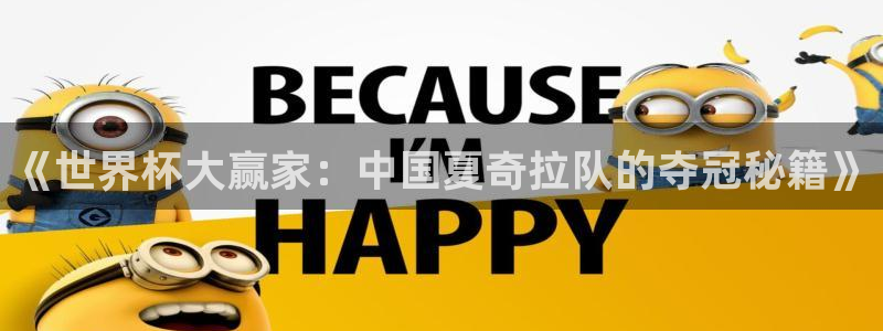 世界杯48支球队赛制：《世界杯大赢家：中国夏奇拉队的夺冠秘籍》