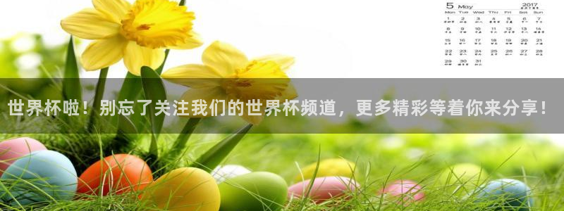 世界杯亚洲区预选赛积分榜：世界杯啦！别忘了关注我们的世界杯频道，更多精彩等着你来分享！
