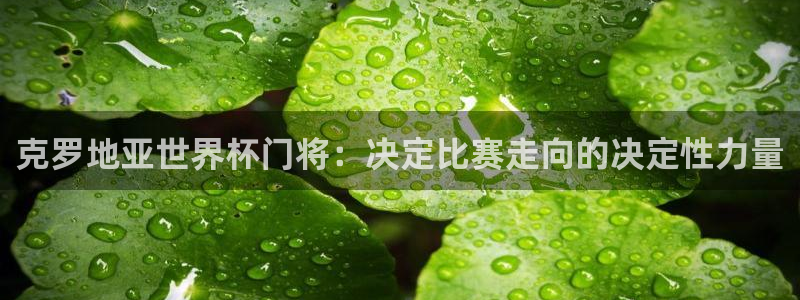 世界杯直播在线观看入口：克罗地亚世界杯门将：决定比赛走向的决定性力量