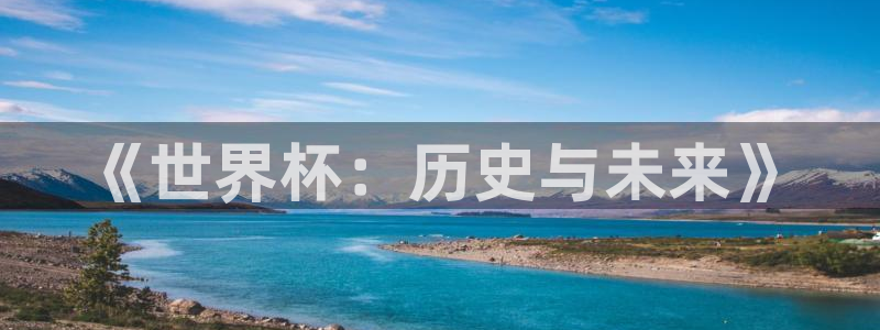 2026世界杯赛：《世界杯：历史与未来》