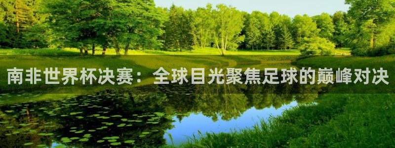 世界杯附加赛赛程表：南非世界杯决赛：全球目光聚焦足球的巅峰对决
