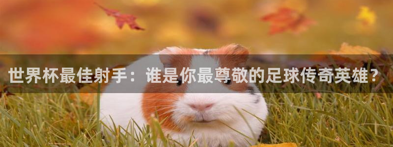 2026足球世界杯赛程：世界杯最佳射手：谁是你最尊敬的足球传奇英雄？