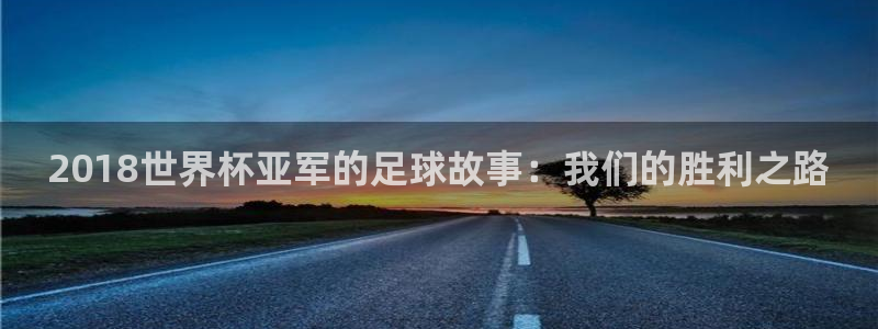 亚洲区世界杯预选赛：2018世界杯亚军的足球故事：我们的胜利之路